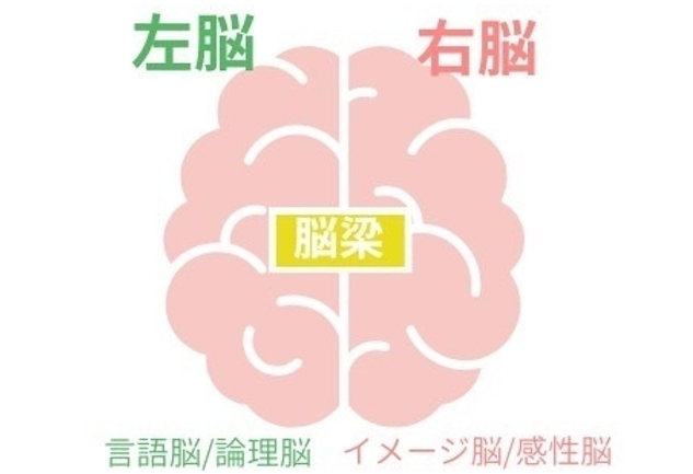 右脳教育の効果は何歳まで？メリットデメリット紹介！