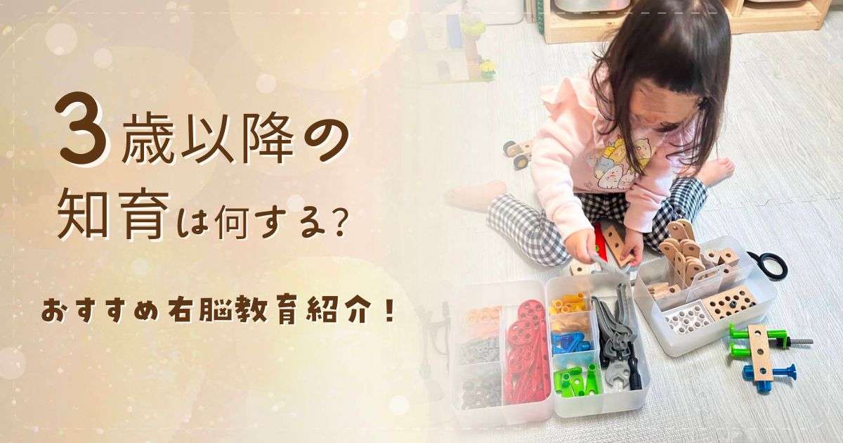 3歳以降の知育は何する？おすすめ右脳教育紹介！